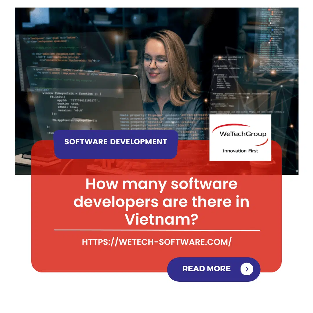 How many software developers are there in Vietnam