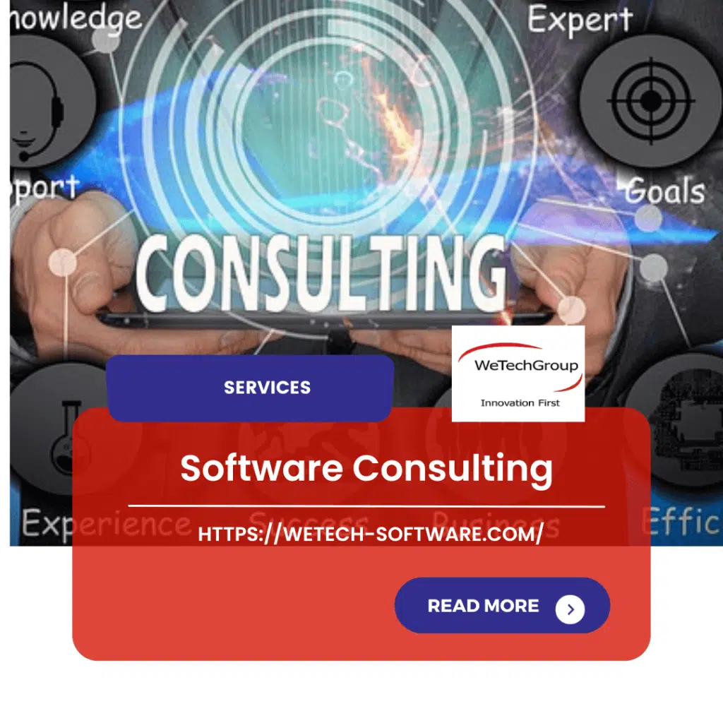 Software Consulting