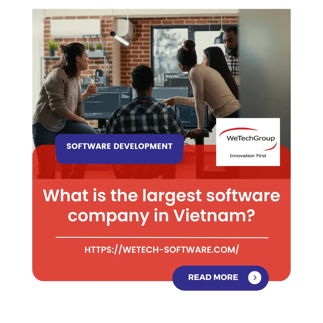 What is the largest software company in Vietnam